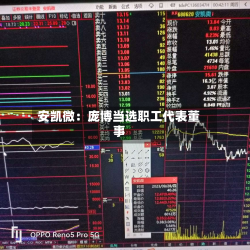 安凯微：庞博当选职工代表董事-第3张图片