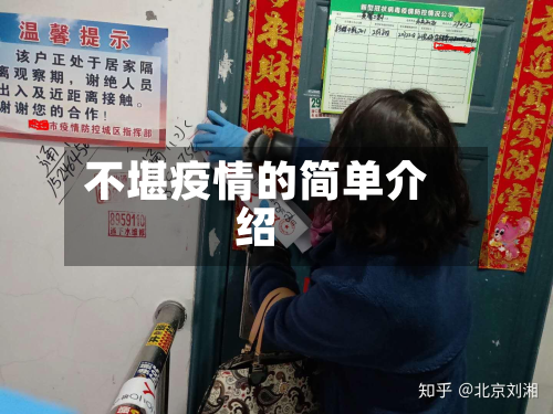 不堪疫情的简单介绍