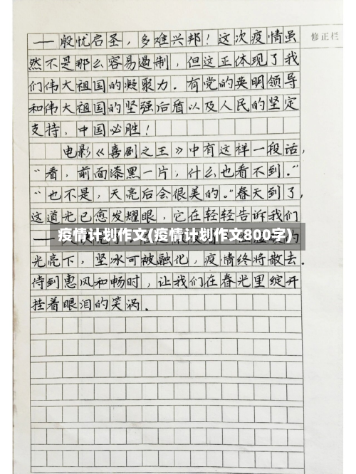 疫情计划作文(疫情计划作文800字)