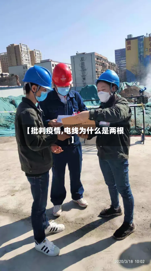【批判疫情,电线为什么是两根】-第2张图片