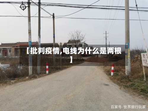 【批判疫情,电线为什么是两根】