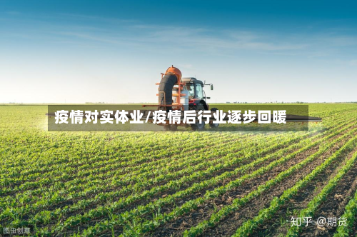 疫情对实体业/疫情后行业逐步回暖