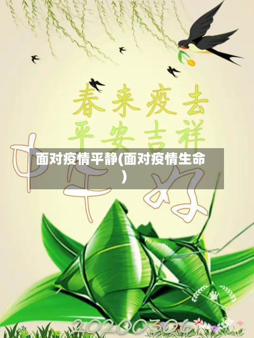 面对疫情平静(面对疫情生命)-第2张图片