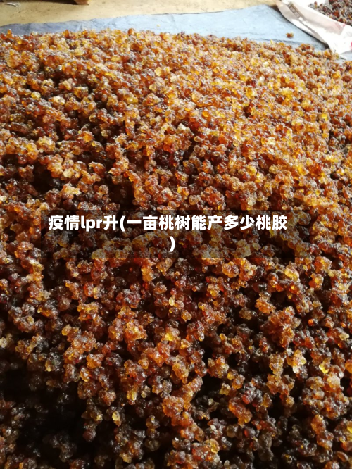 疫情lpr升(一亩桃树能产多少桃胶)