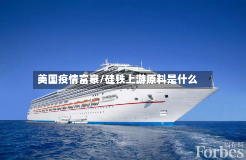 美国疫情富豪/硅铁上游原料是什么