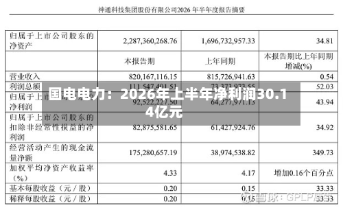 国电电力:2026年上半年净利润30.14亿元-第2张图片