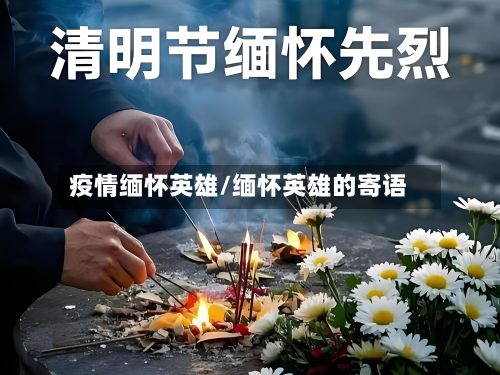 疫情缅怀英雄/缅怀英雄的寄语-第3张图片