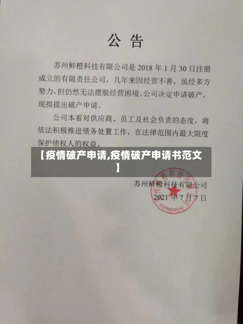【疫情破产申请,疫情破产申请书范文】