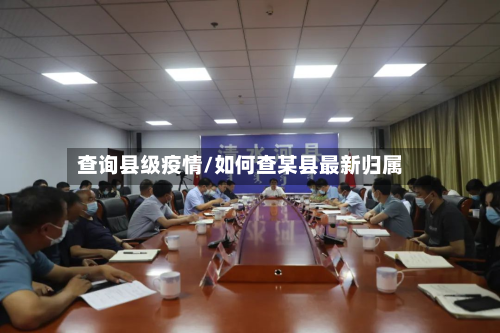 查询县级疫情/如何查某县最新归属-第2张图片