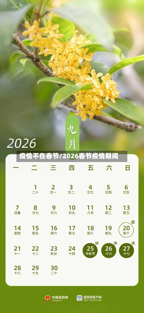 疫情不在春节/2026春节疫情期间