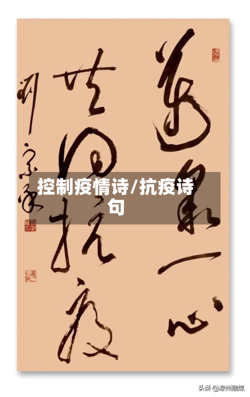 控制疫情诗/抗疫诗句-第2张图片