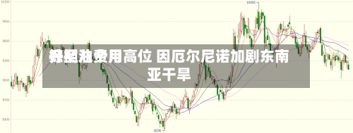 棕榈油费用
升至八个月高位 因厄尔尼诺加剧东南亚干旱-第2张图片